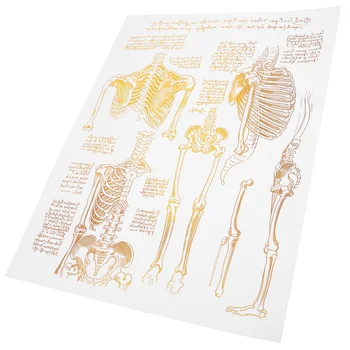 Живопись Картины для стен плакаты с анатомией в скандинавском стиле на холсте, подарки для больницы позвоночника человека, офис
