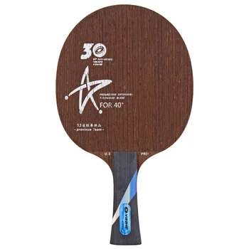 ракетка для настольного тенниса yinhe galaxy V14V-14 PRO ping pong blade province team