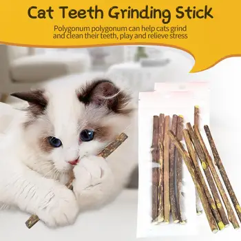 Палочки/ коробка Кошачьей мяты для самовосстанавливающегося жевания коренных зубов домашних кошек Натуральная зубная паста для снятия скуки, средства для чистки зубов, закуски